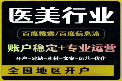 竞价广告的投放策略与效果评估——以一成功企业为例